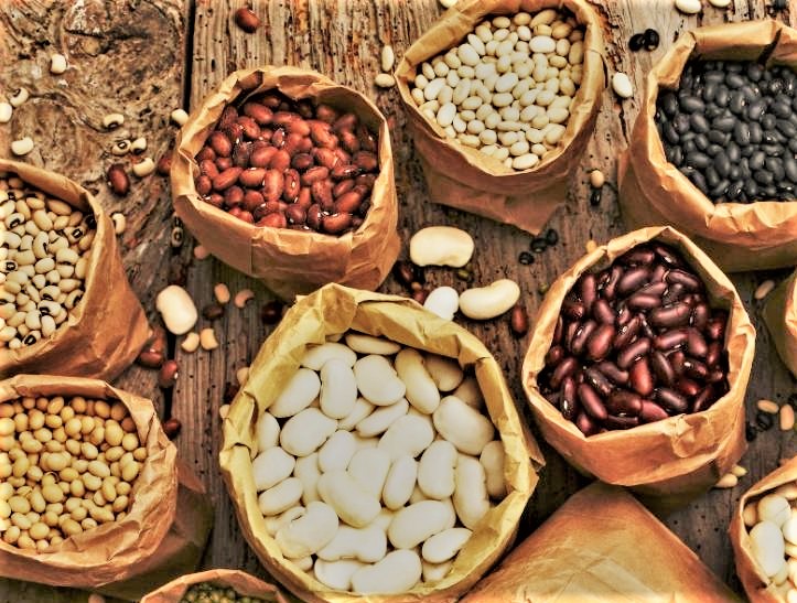 Eating bean seeds can cause death!
