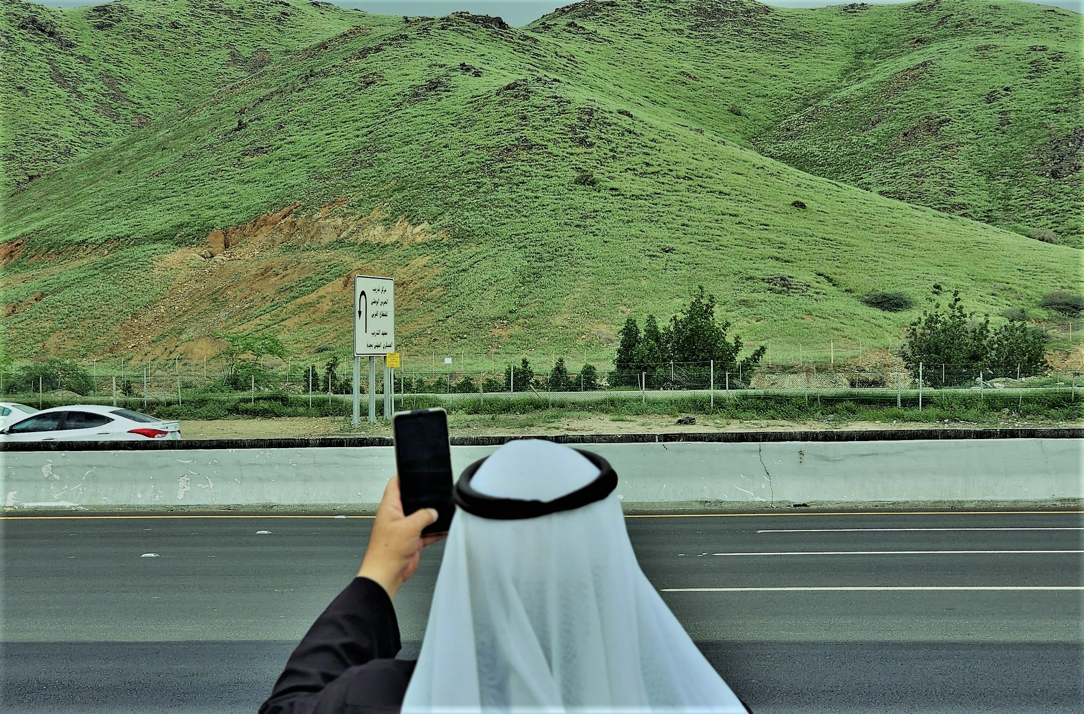 The desert country is filling the chest of Saudi Arabia with green